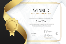 Best Screenwriter